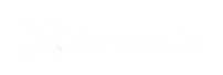 BoliseUa